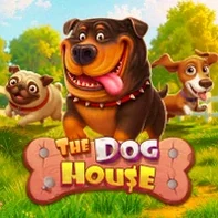 The Dog House